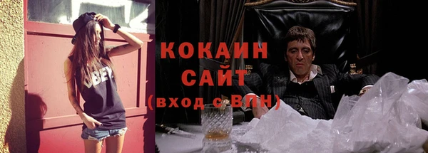 стаф Богородск
